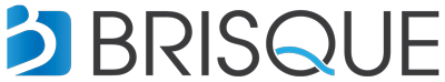 Brisque Logo - humanized tech marketing resource