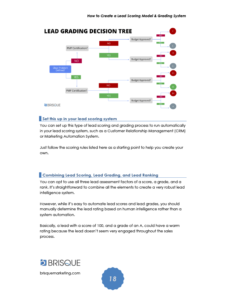 lead scoring guide- lead grading-decision tree